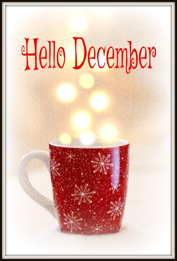 Welcome December by judyc57