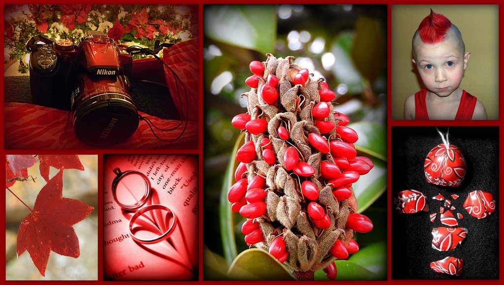 My Favorite Red Pictures in a Collage by homeschoolmom