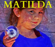 30th Nov 2018 - The Young Matilda