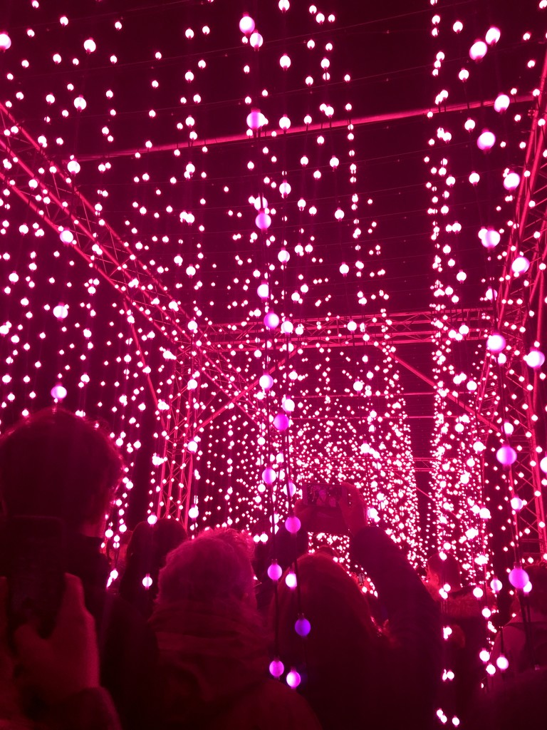 A Sea Of Lights by naomi