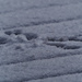 snow print by rminer