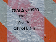 3rd Dec 2018 - trails closed tree work