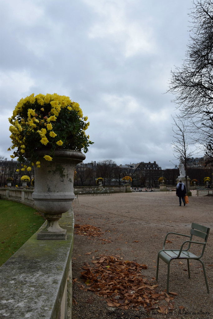 walk in the Luxembourg garden by parisouailleurs