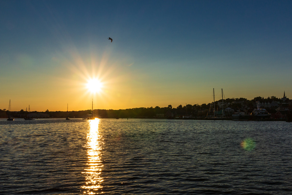 Sunset Over Lunenburg Harbour by swchappell