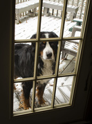 1st Dec 2018 - You gonna let me in, or what?