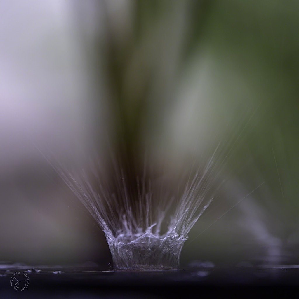 Water Drop Dancing by evalieutionspics