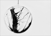 1st Dec 2018 - Black and White Tree in an Ornament of Glass