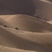 Dune sweep by helenhall