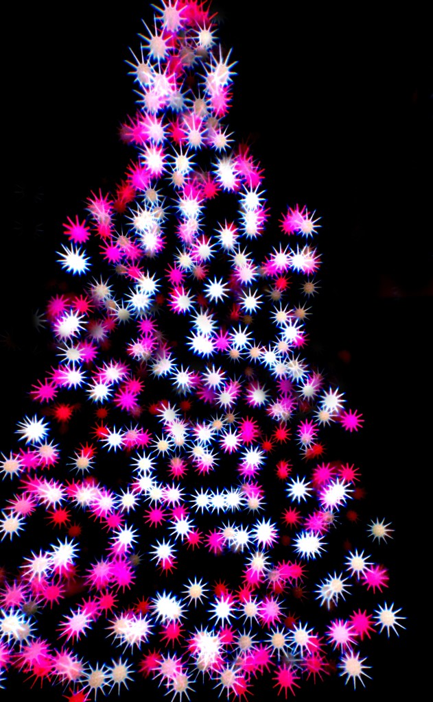 Merry Bokeh! by lynnz