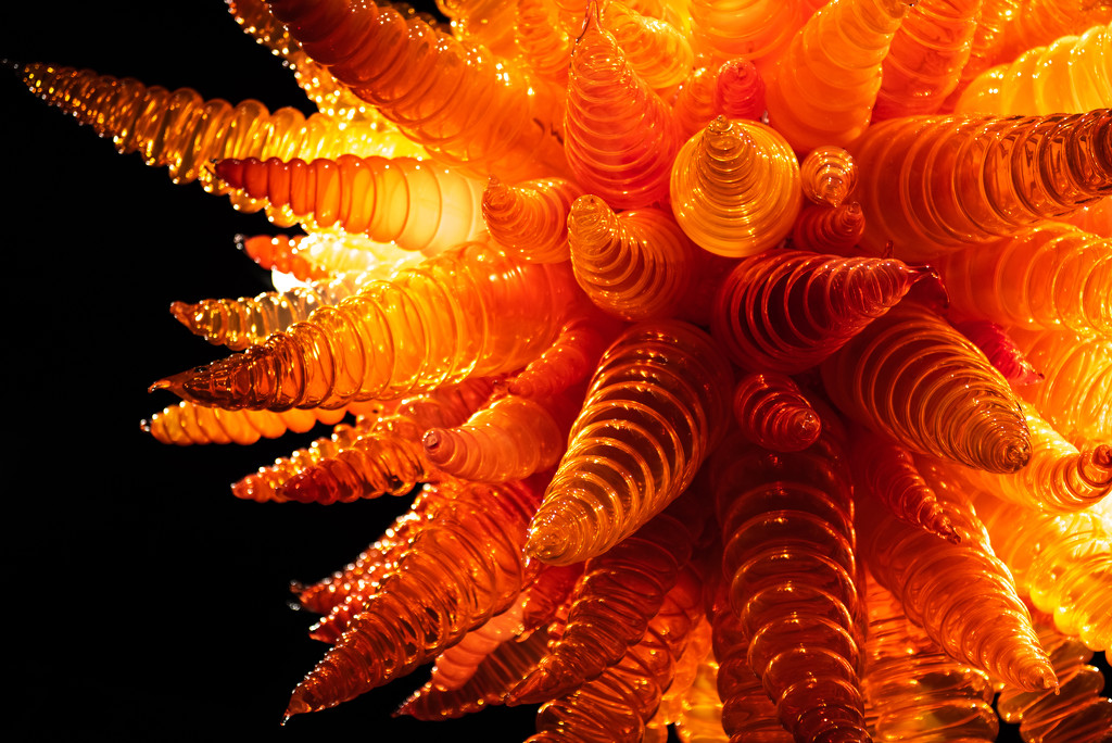 Chihuly by kwind