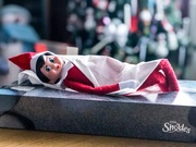 3rd Dec 2018 - Elf tucked up! 