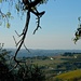 San Giorgio. The view  by caterina