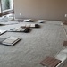 Back to Carpet Choosing by kimmer50