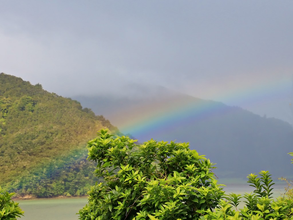 Chasing rainbows by kiwinanna