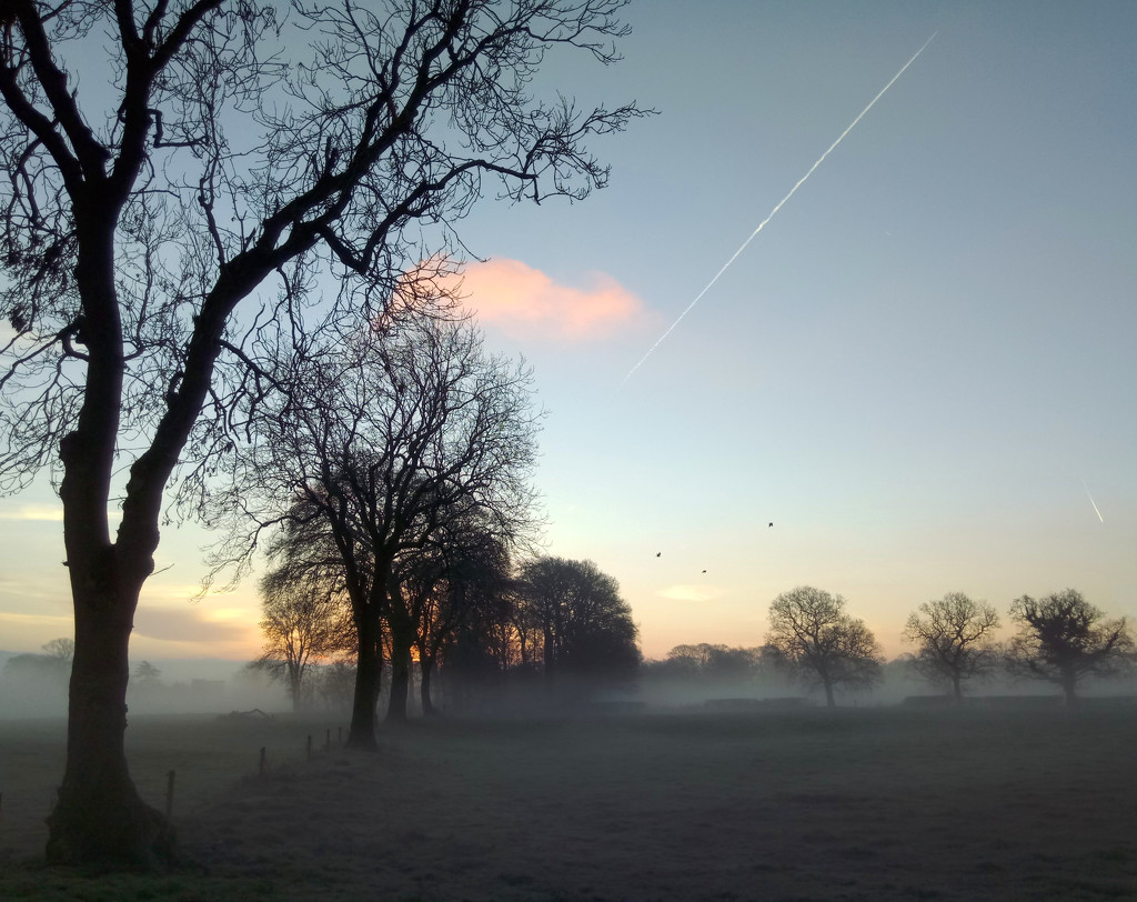 189 Misty morning by angelar