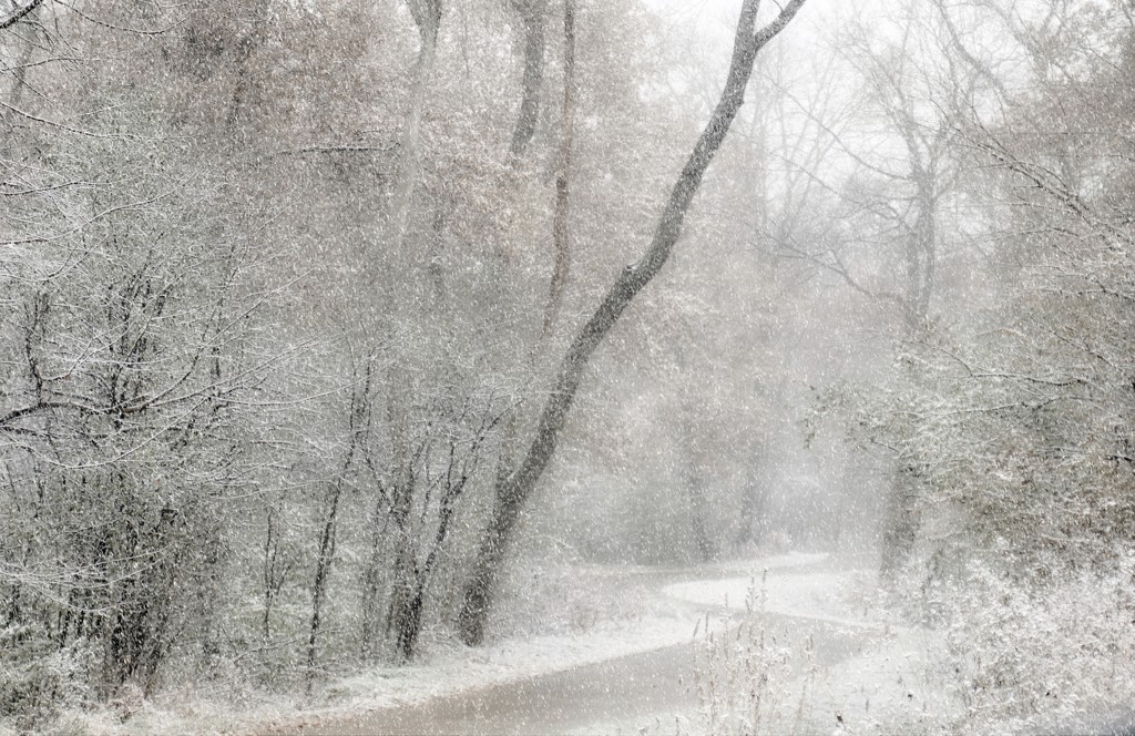November Snow by lynnz