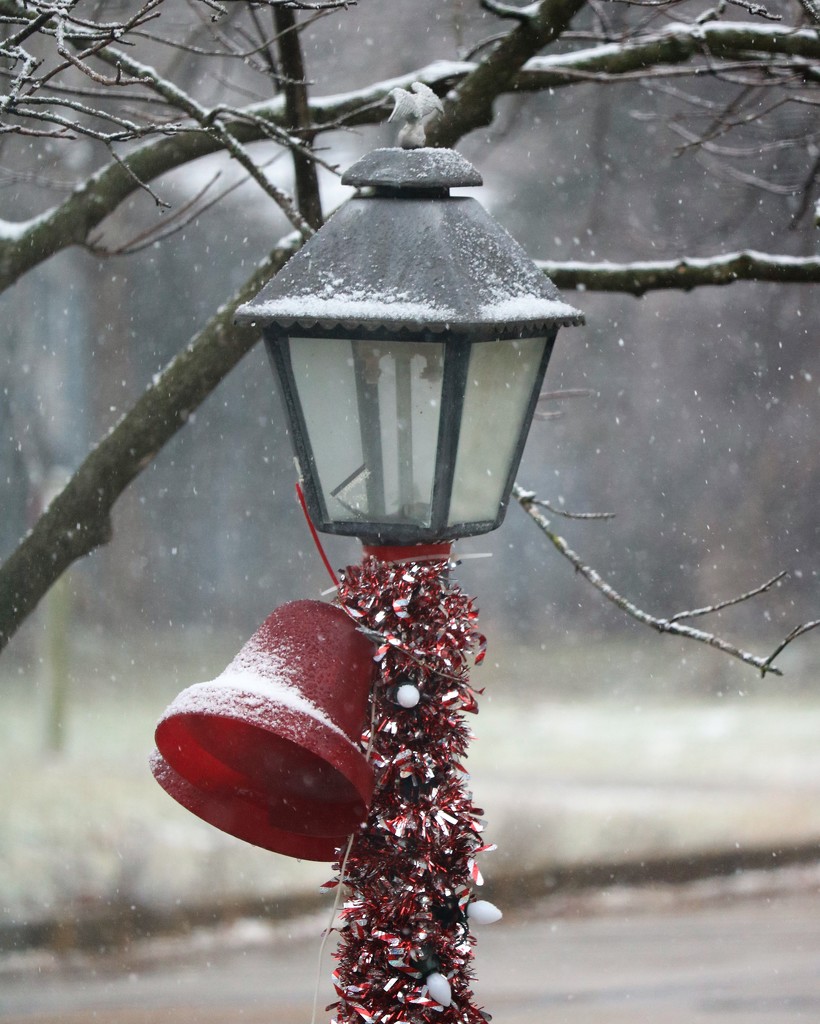 December 7: Snow Again by daisymiller
