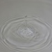 Grey droplets - hmmm! by kiwinanna