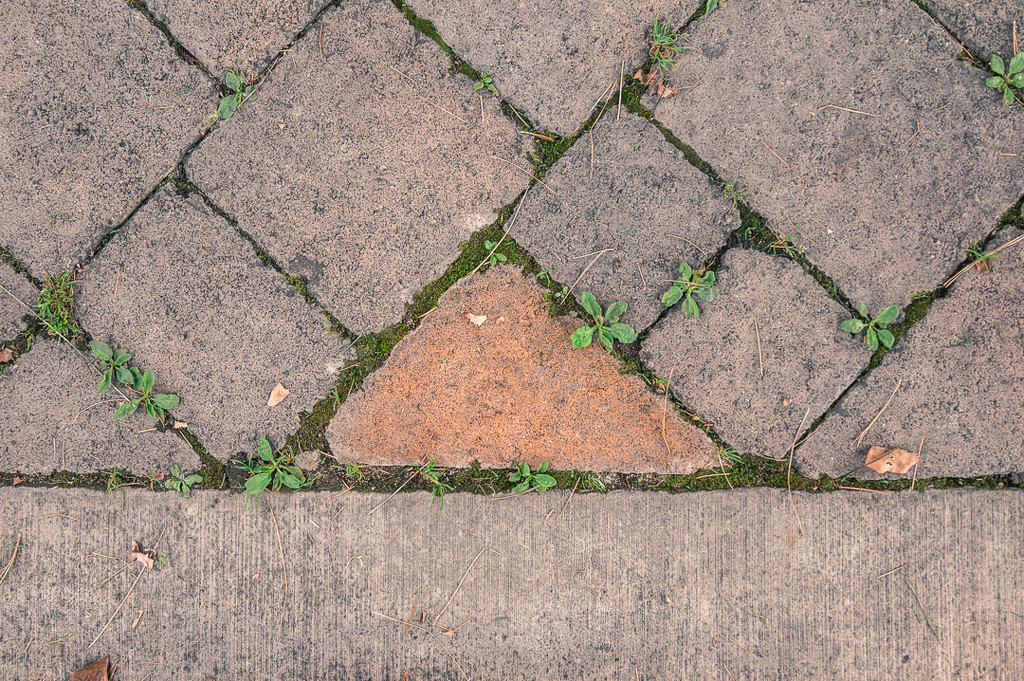 (Day 148) - Triangle Found by cjphoto