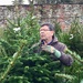Searching For The Perfect Christmas Tree by gillian1912