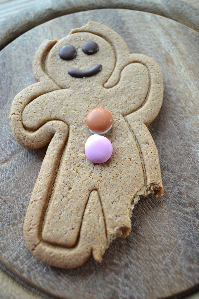 Who ate the Gingerbread Man ? by brennieb