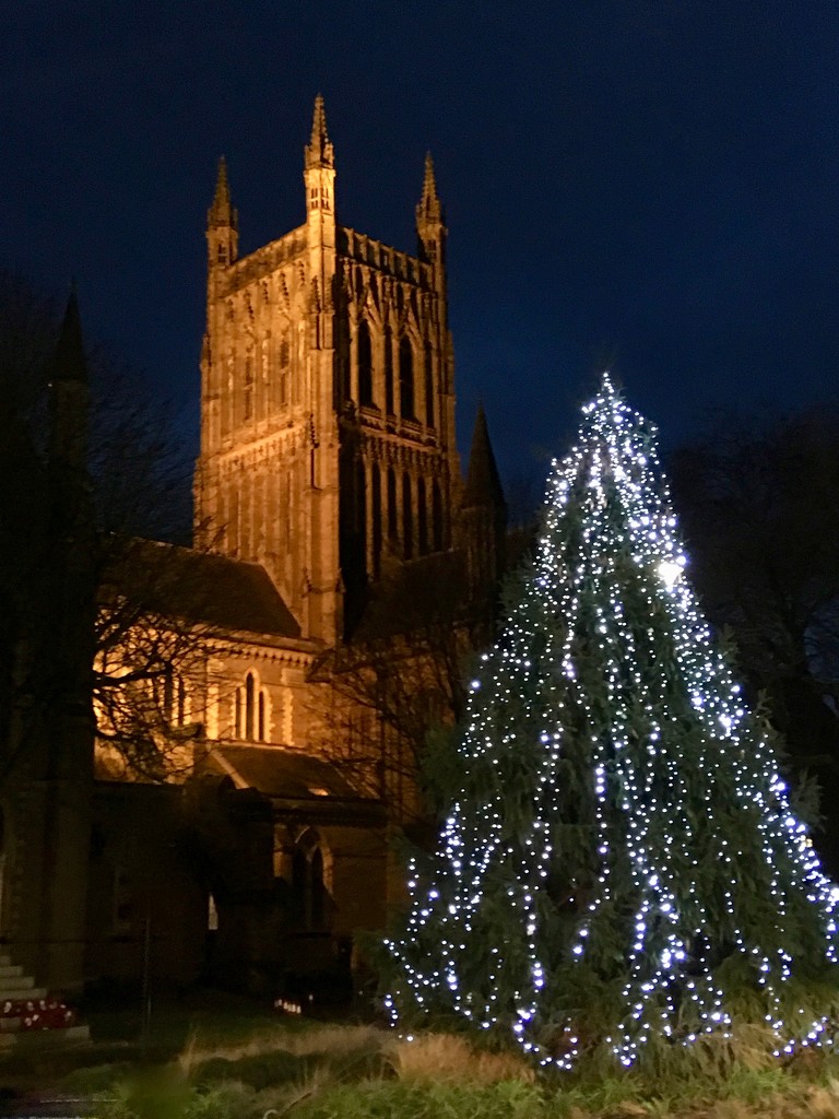 Christmas tree and Cathedral. by rosie00