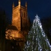 Christmas tree and Cathedral. by rosie00