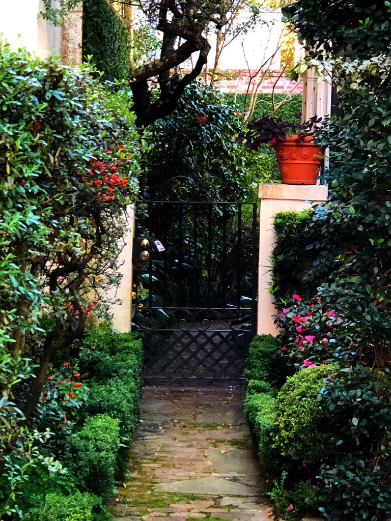 Entrance to a secret garden, historic district, Charleston, SC by congaree