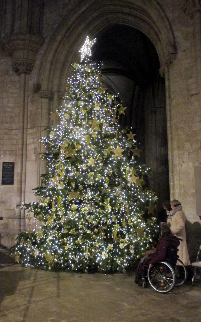 Ely Cathedral Christmas Tree by foxes37