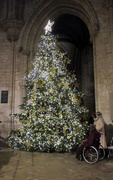 8th Dec 2018 - Ely Cathedral Christmas Tree