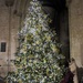 Ely Cathedral Christmas Tree by foxes37