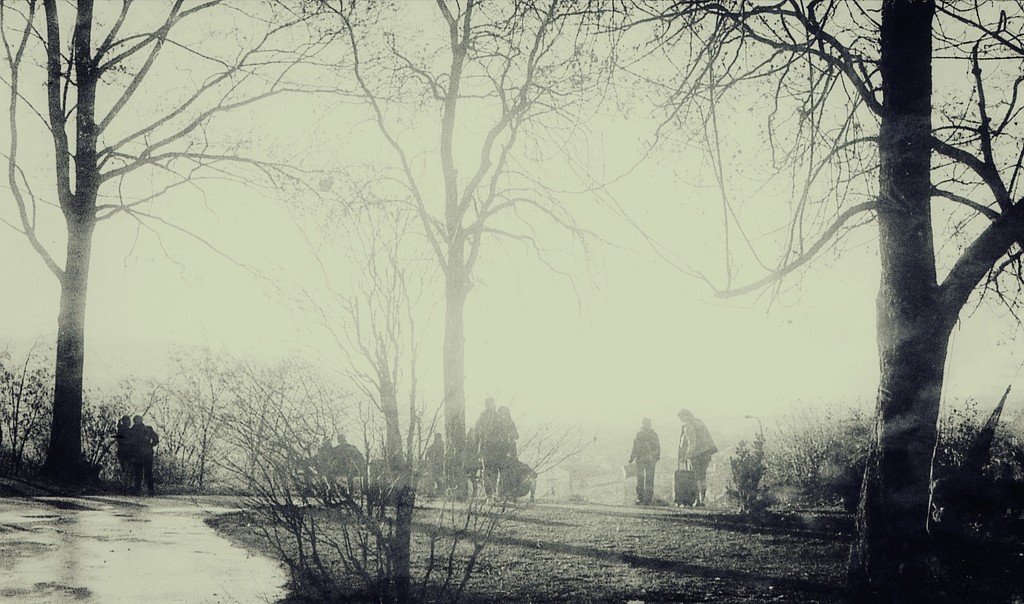 people in the mist by jack4john