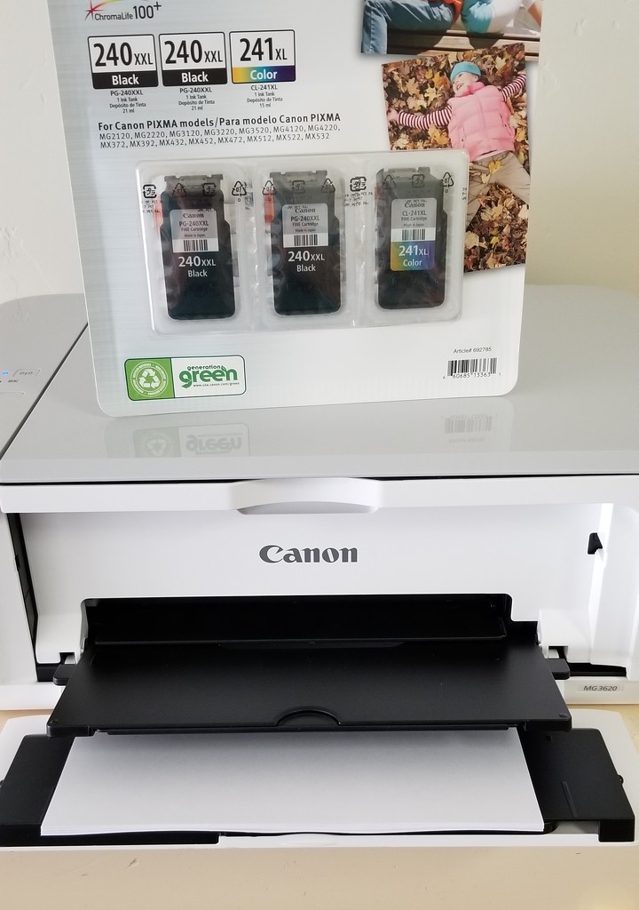 $30 printer, $90 ink by lindasees