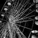 Big Wheel by phil_sandford