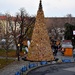 The poor people's Christmas trees by kork