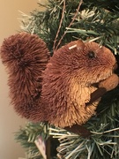 7th Dec 2018 - Christmas Squirrel