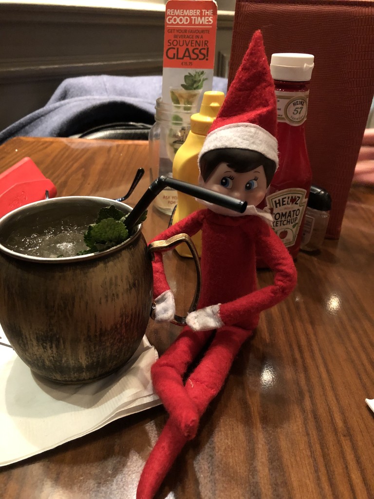 Elf getting tipsy by bizziebeeme