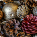 Christmas Pot Pourri by carolmw