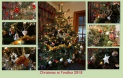 9th Dec 2018 - Christmas Tree fun