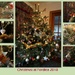 Christmas Tree fun by sarah19