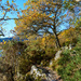 West Highland Way ,Loch Lomond by iqscotland