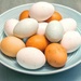 Free Range Eggs by pamknowler