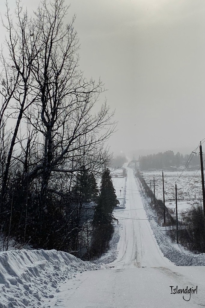 Road to Nowhere  by radiogirl