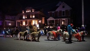 10th Dec 2018 - Miniature horses in the Christmas parade