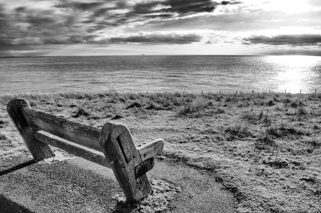 Bench with a Vew by fbailey