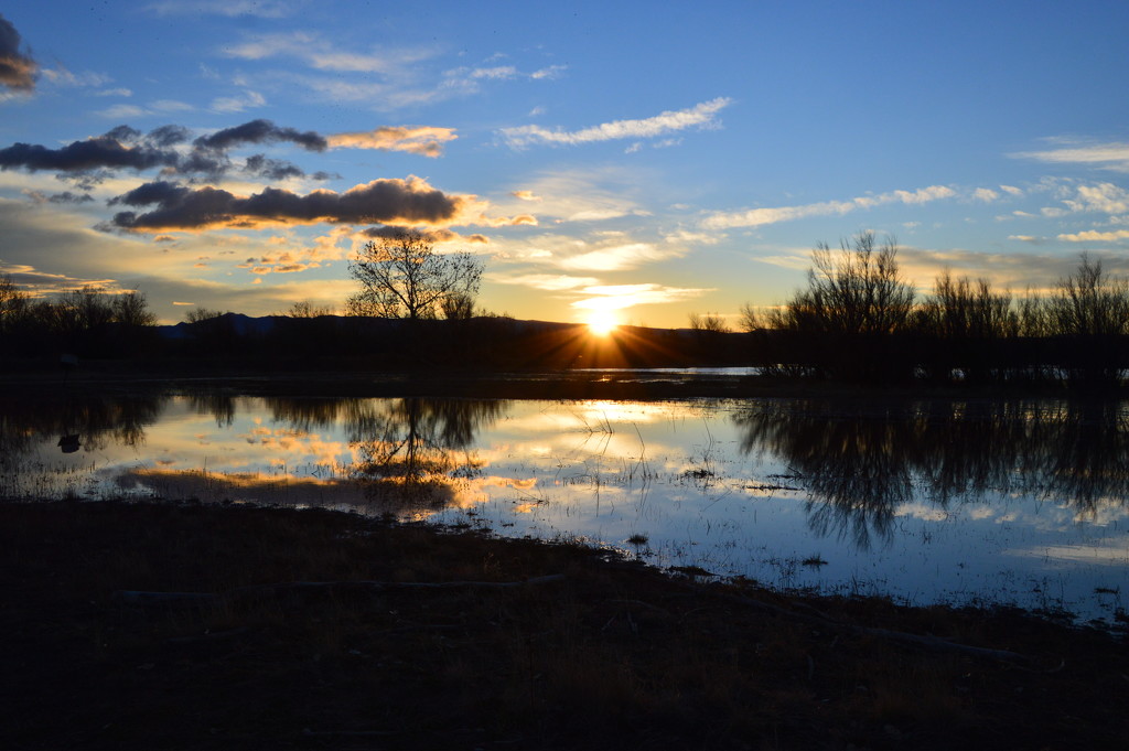 Sunrise Over A Pond At Ladd S. Gordon  by bigdad