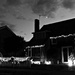 B & W Christmas Lights by judithdeacon