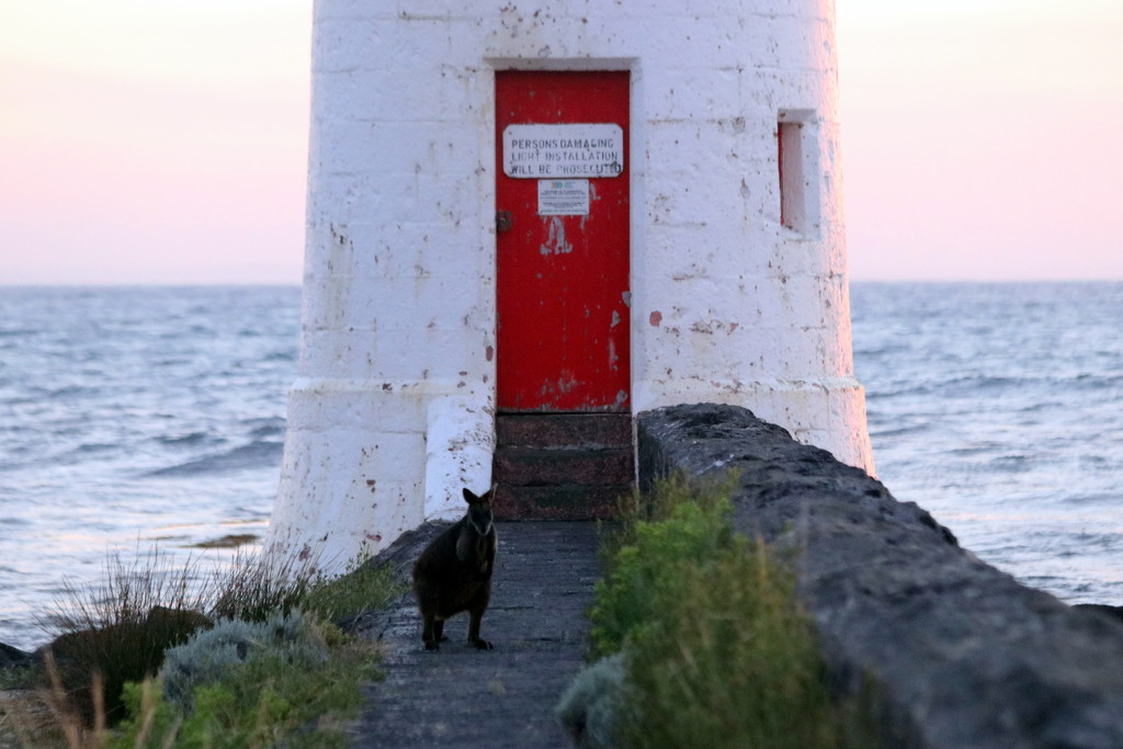 The lighthouse keeper :) by gilbertwood