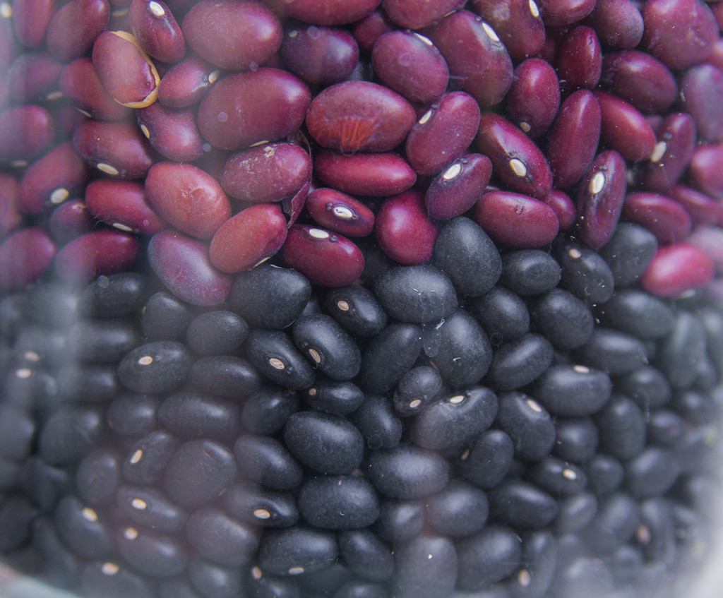(Day 248) - Red & Black Beans by cjphoto