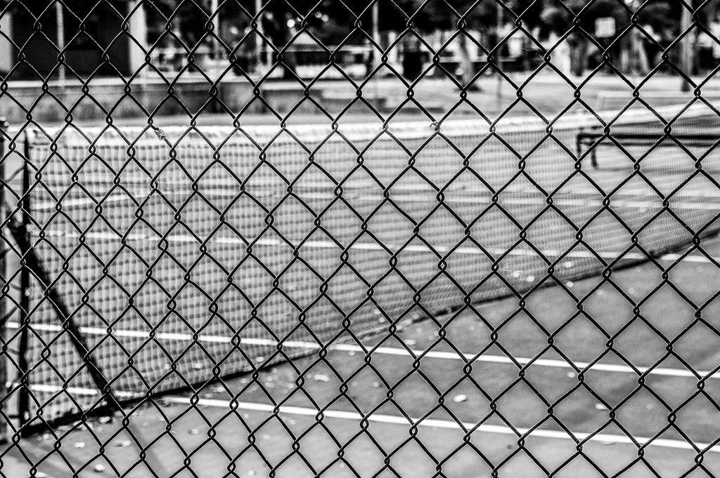 (Day 254) - The Tennis Court by cjphoto